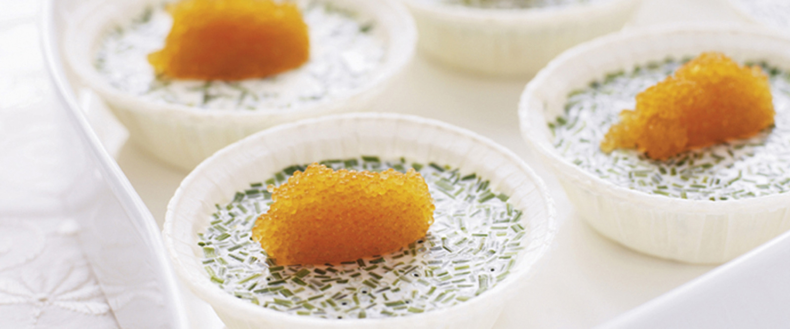 Pannacotta till förrätt