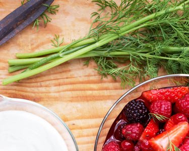 Dill - Goda recept med dill
