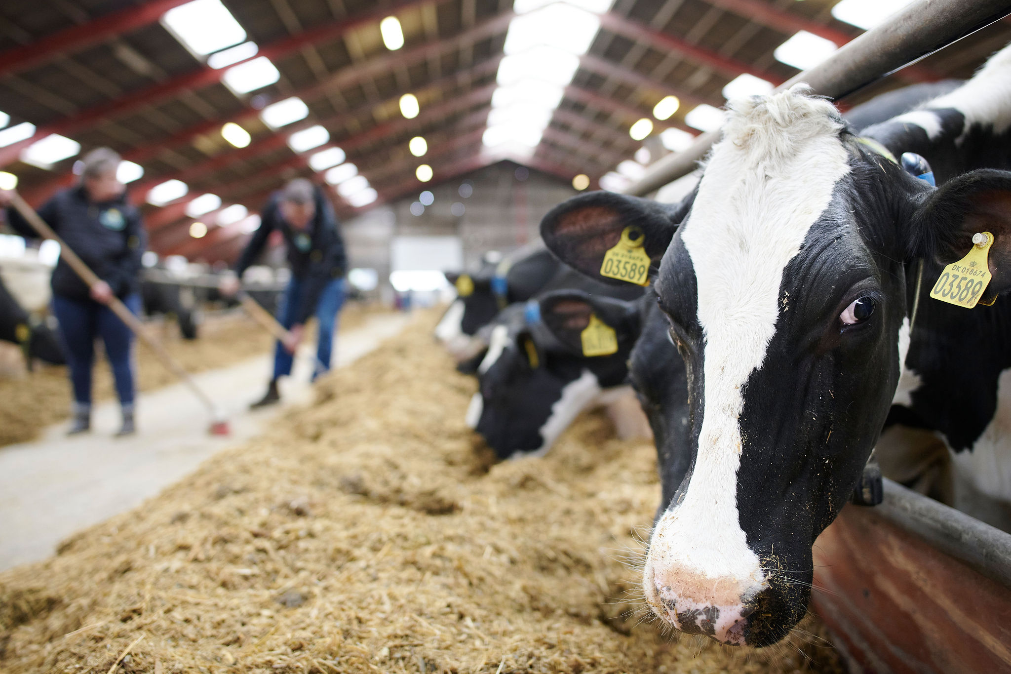 Så här mäter vi gårdens klimatpåverkan