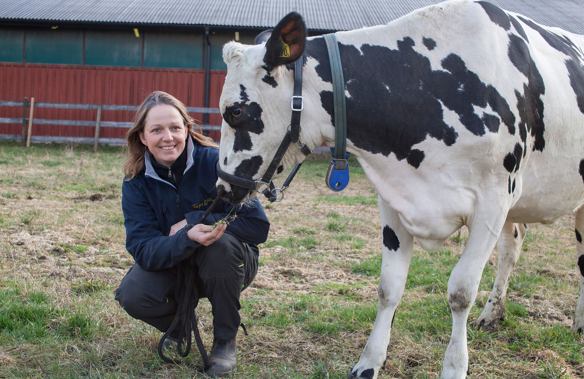 Hej, jag äger Arla! 