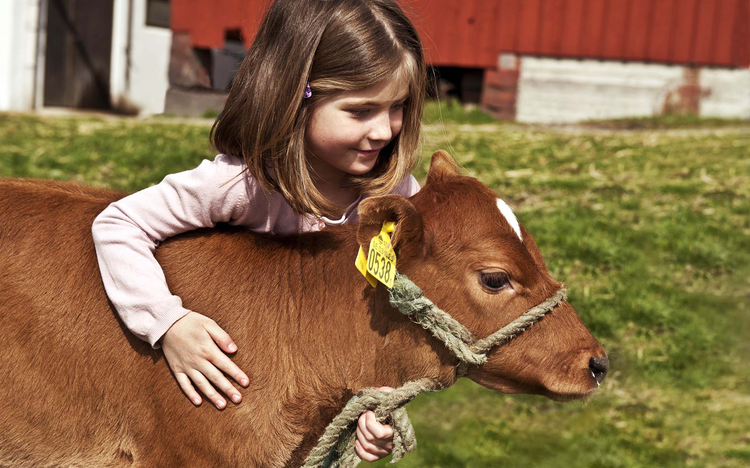 Mina gårdsbokningar