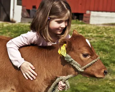 Prenumerera på Minors nyhetsbrev