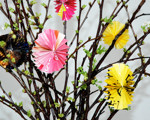 Påskblommor