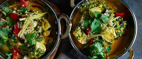 Utforska världen av paneer