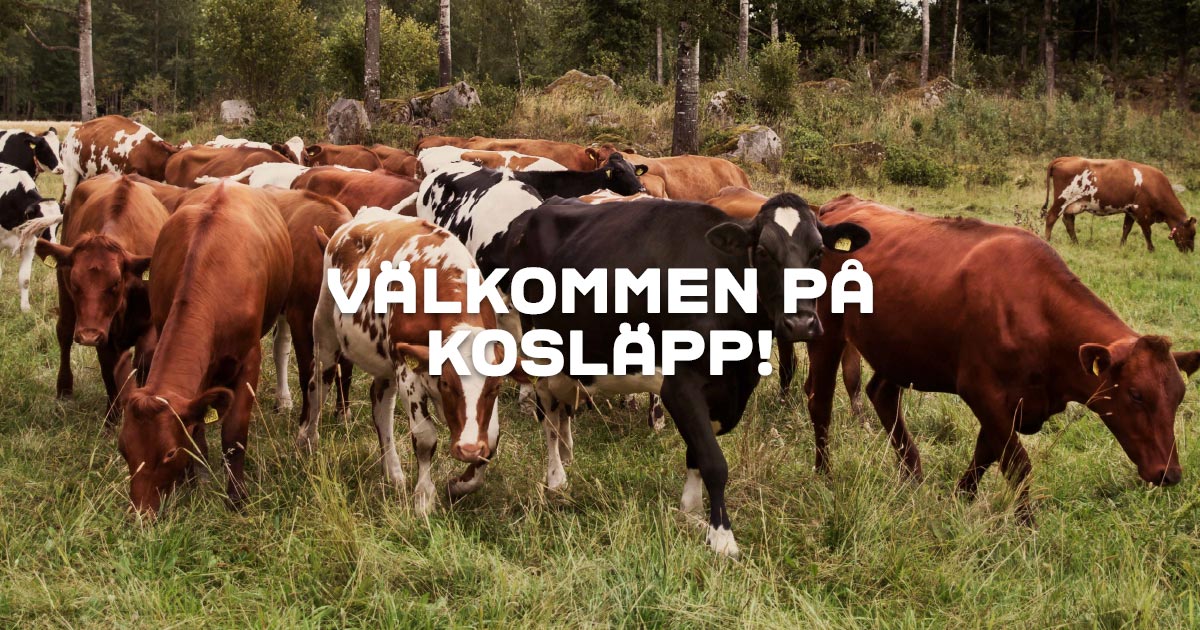 Kosläpp i Jönköpings län Arla
