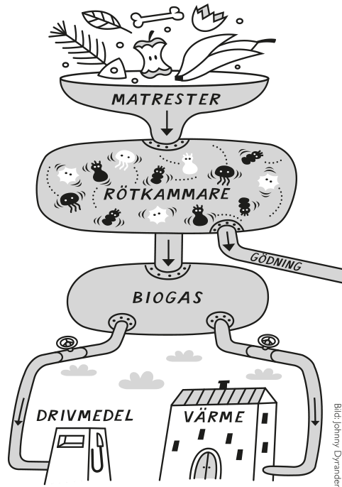 Matrester blir till biogas