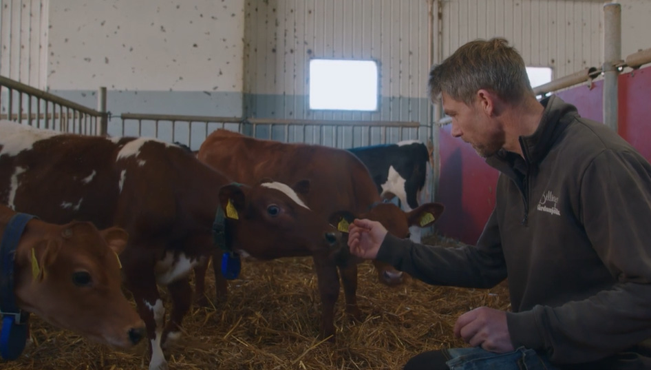 Välkommen till gården