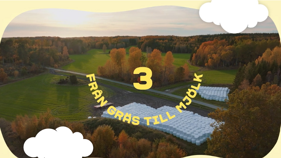 Från gräs till mjölk