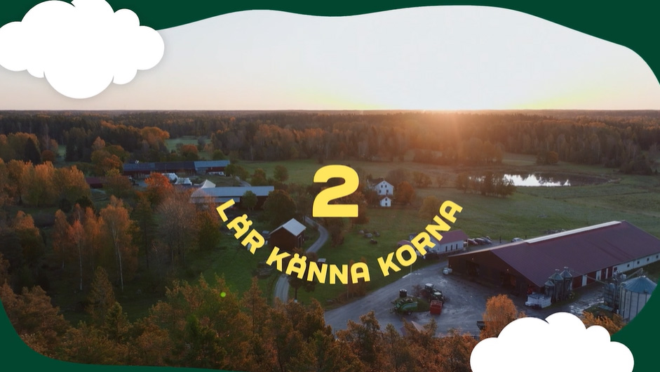 Lär känna korna