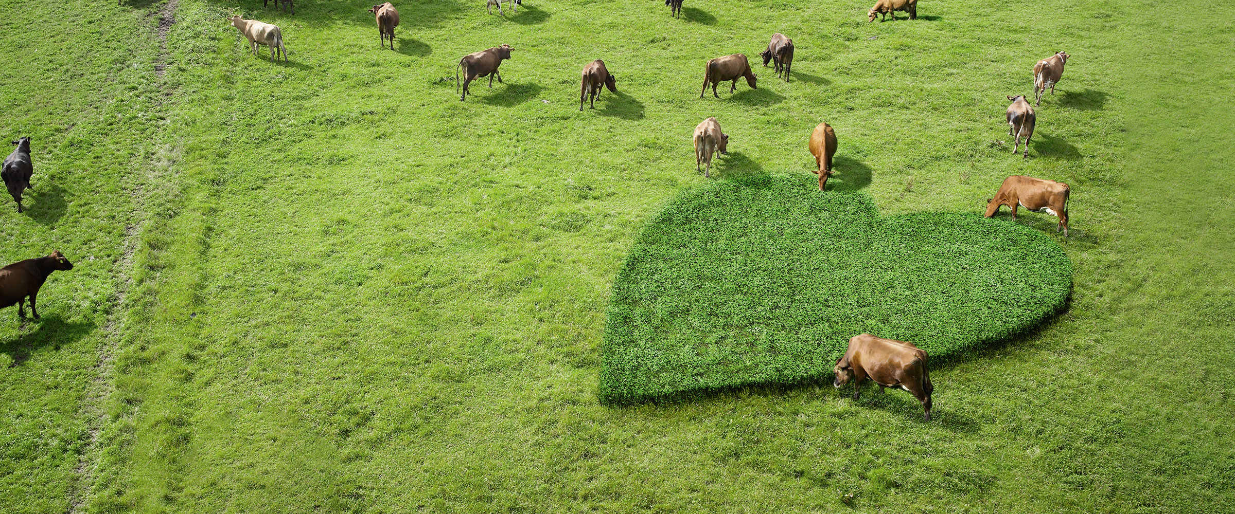 Ekologiska produkter