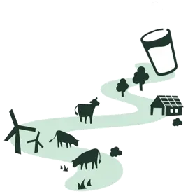 Den här mjölken kommer från kor som bland annat …