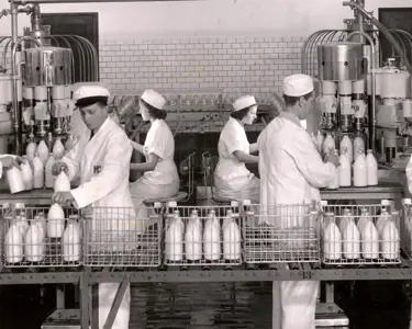 Arkivbild från mejeri