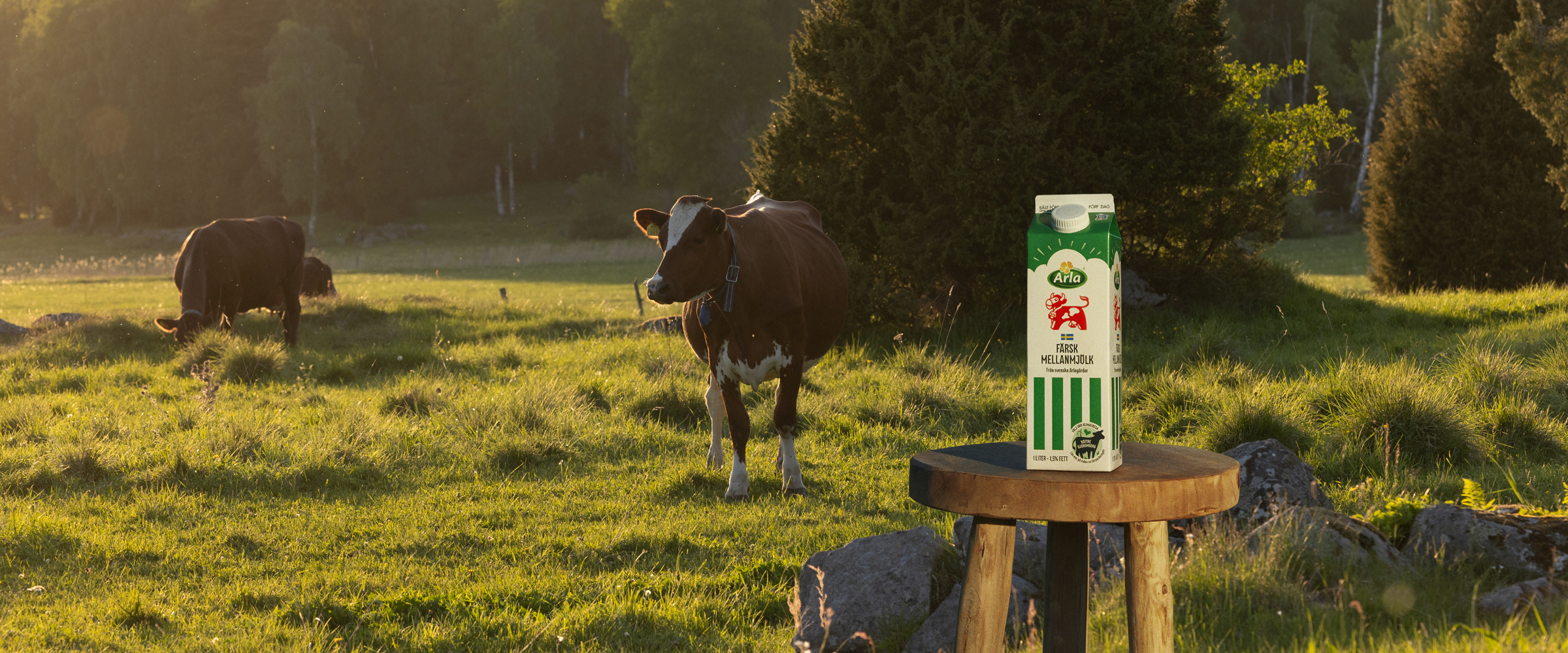 Följ vår klimatresa