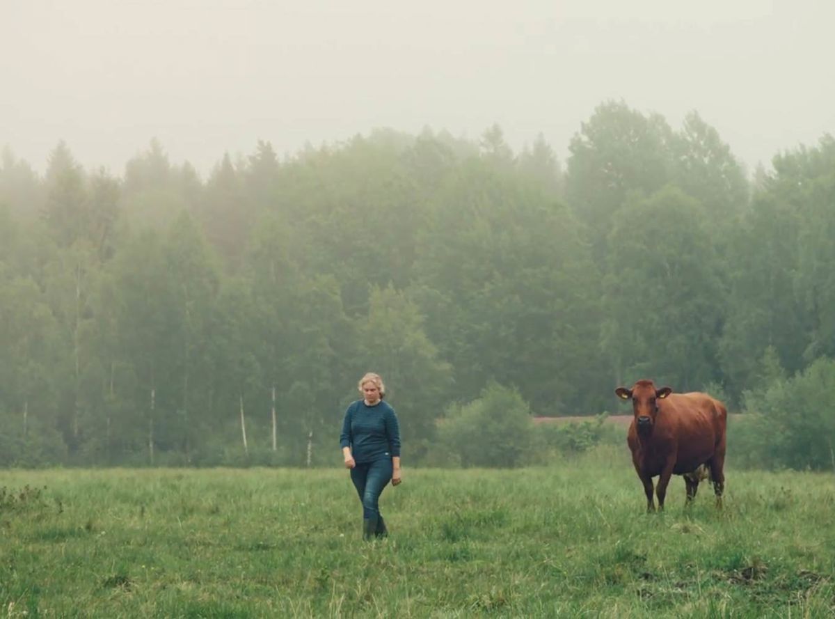 Marken – vägen till eko