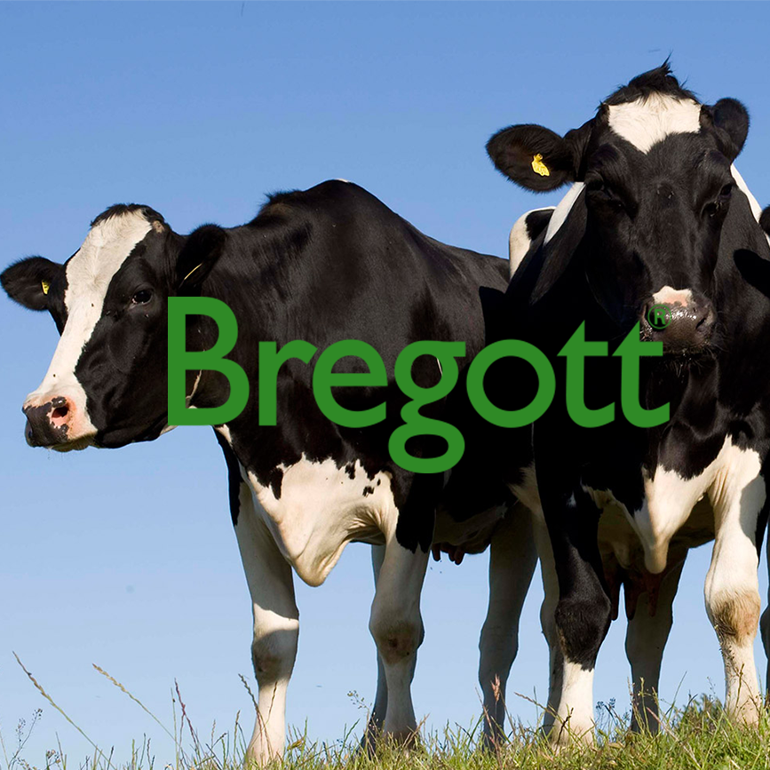 Bregott®