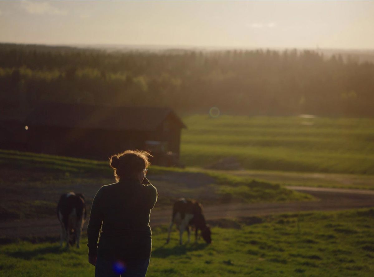 Hushållsost från Östersund | Arla