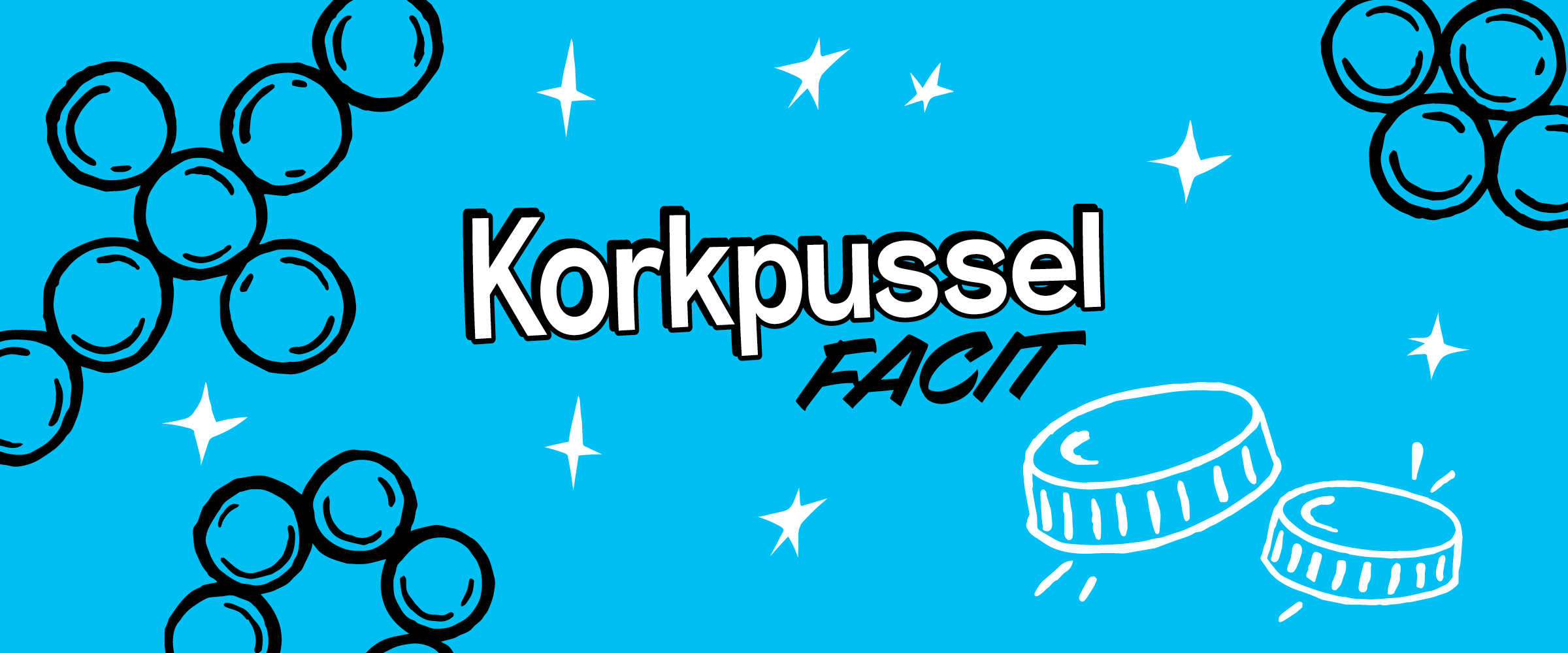 Facit till korkpussel