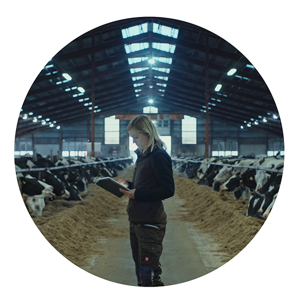 360° helhetsrådgivning 