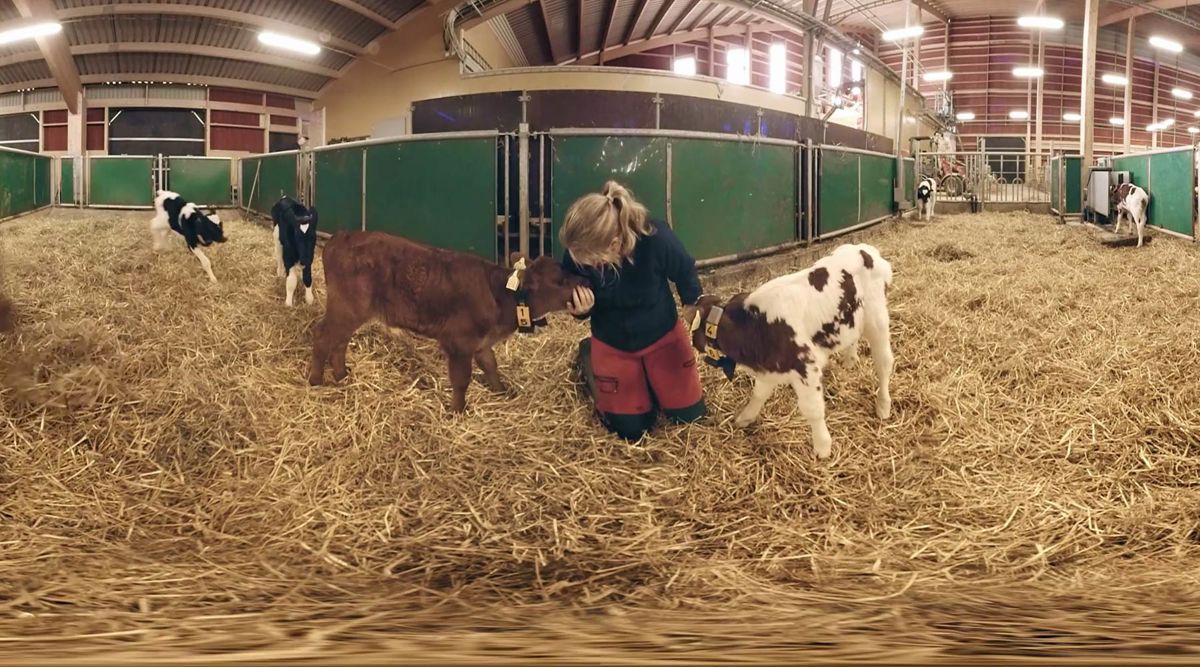 En VR-rundtur på en Arlagård