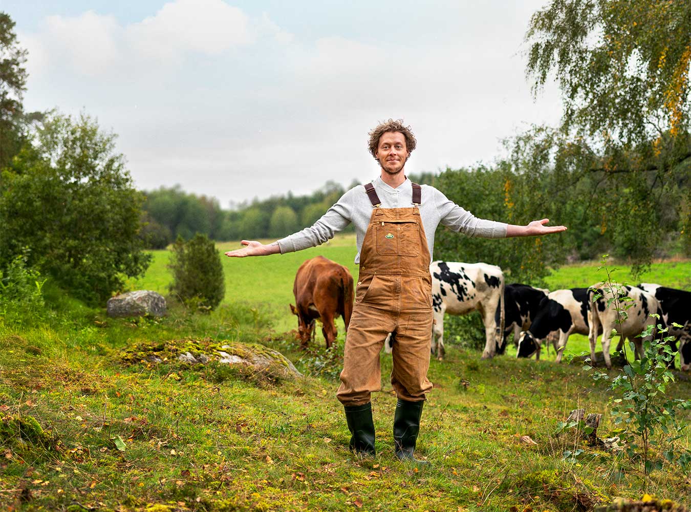 Bonde på äng med kor