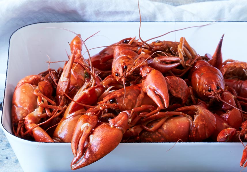 Kräftlag till tinade kräftor